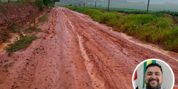Estrada da Pedra Branca em situação crítica após seis meses de alerta ignorado pelo vereador Peneira