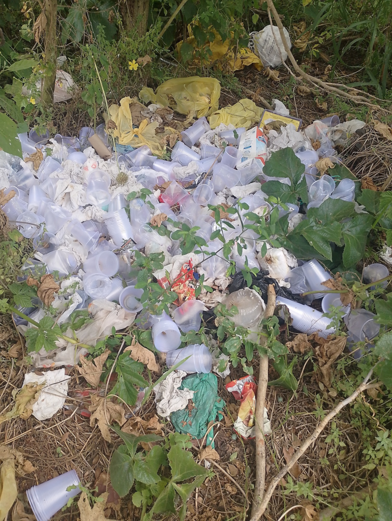 Lixo descartado irregularmente com grande quantidade de copos plásticos e resíduos domésticos em área de mata no Jardim São Paulo, em Itararé.