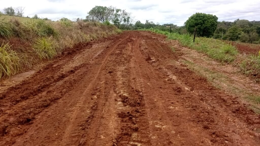 Estrada de terra com lama e sulcos profundos ao lado de vegetação.